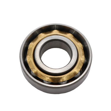 Ležaj L17 17x40x10 RS PPB