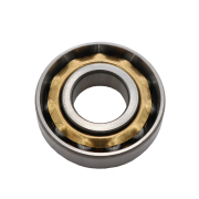 Ležaj L17 17x40x10 RS PPB