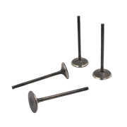 Ventili CF MOTO 800 set