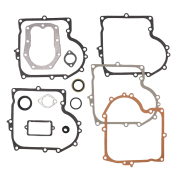 Komplet dihtunga B&S 10 do 12 KS 490525