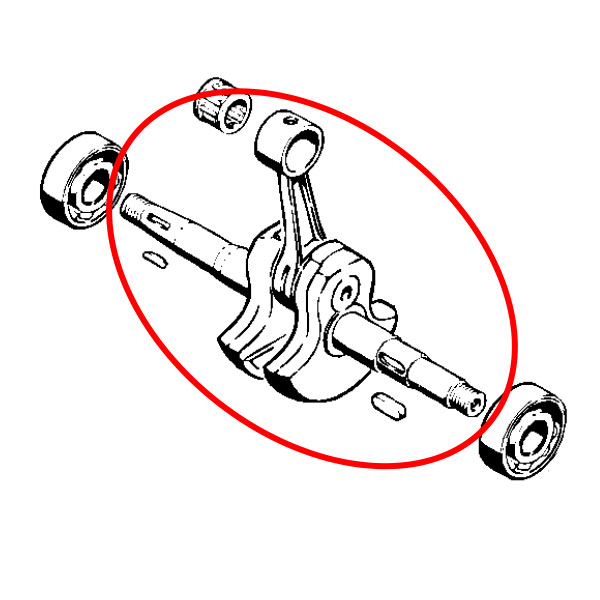 Radilica S 08 TS350 TS360 Ital